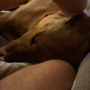 Meet your Posher, Kelsey